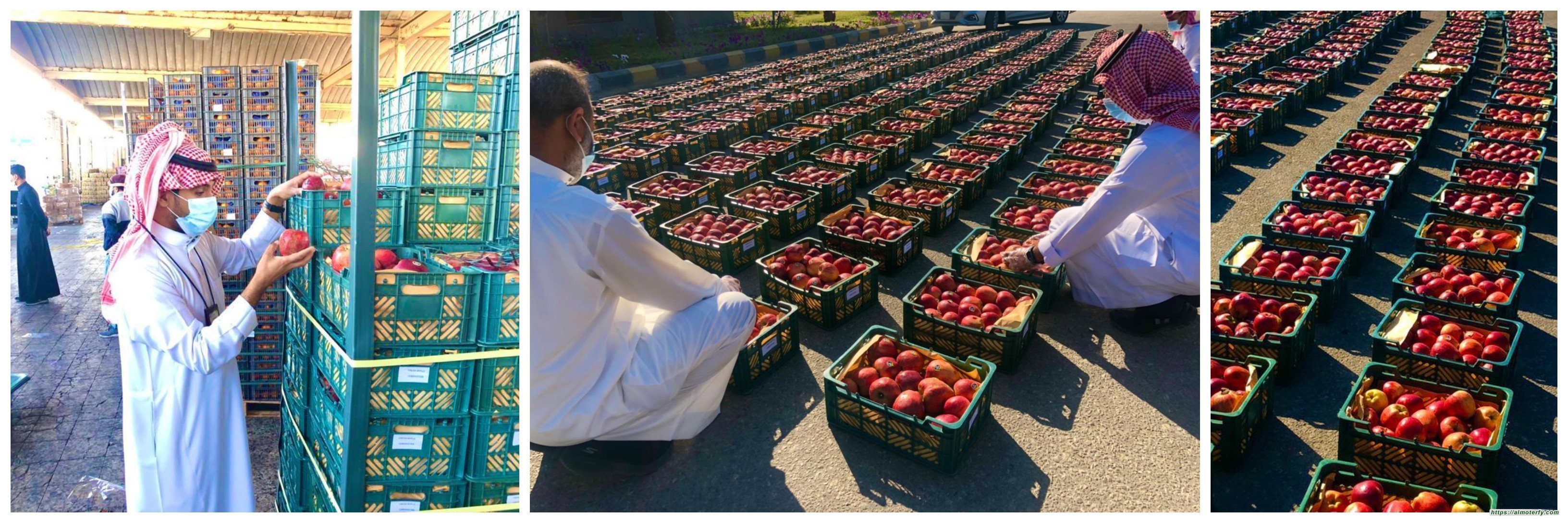 امانة الشرقية ظبط طنين من فاكهة التفاح في سوق الخضار والفواكه  بالدمام ظهرت عليها علامات التلف قبل توزيعها