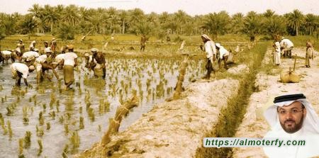   من أهازيج المتعبين .في الأحساء .