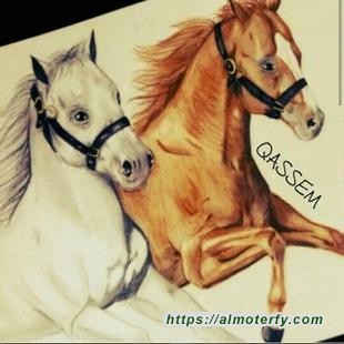 البوعويس يمسح البياضَ بالألوان 