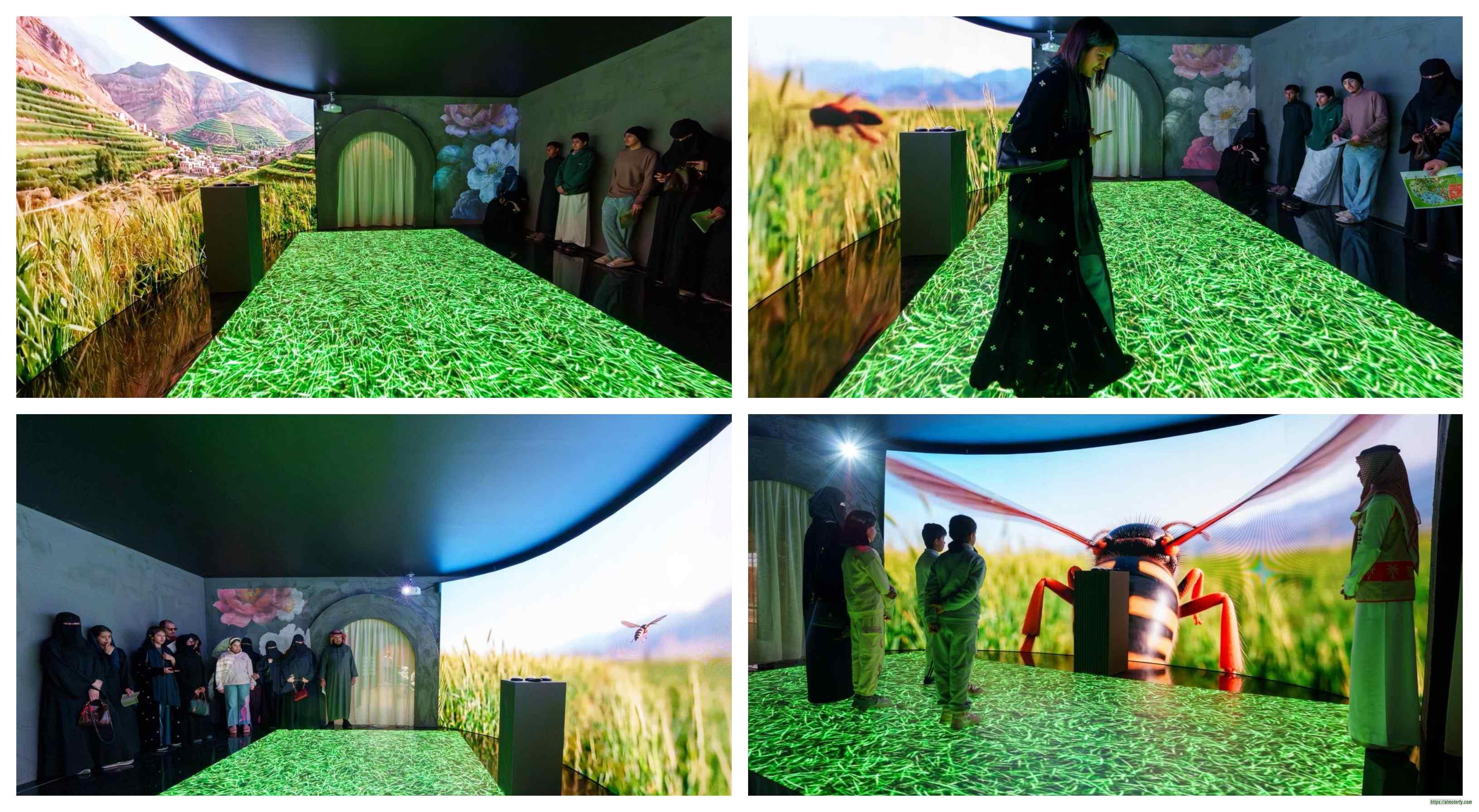 "عوالم الحكاية" تستحضر ذاكرة الريف بمهرجان الكتّاب والقرّاء