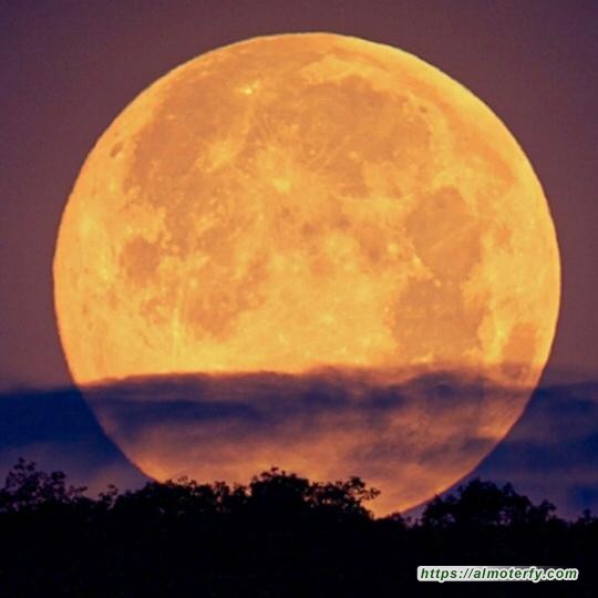 « بدر رمضان » اول قمر عملاق 2021 .. الإثنين