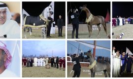 مربط دبي يكتسح المحطة الثانية من جولة الجياد العربية 2026 بقطر    3 ذهبيات وفضية وبرونزية وإنتاج يحتكر الجمال